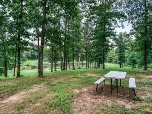 Picnic Table
