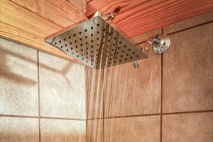 New Shower Head