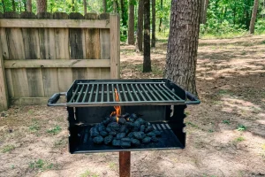 Barbeque